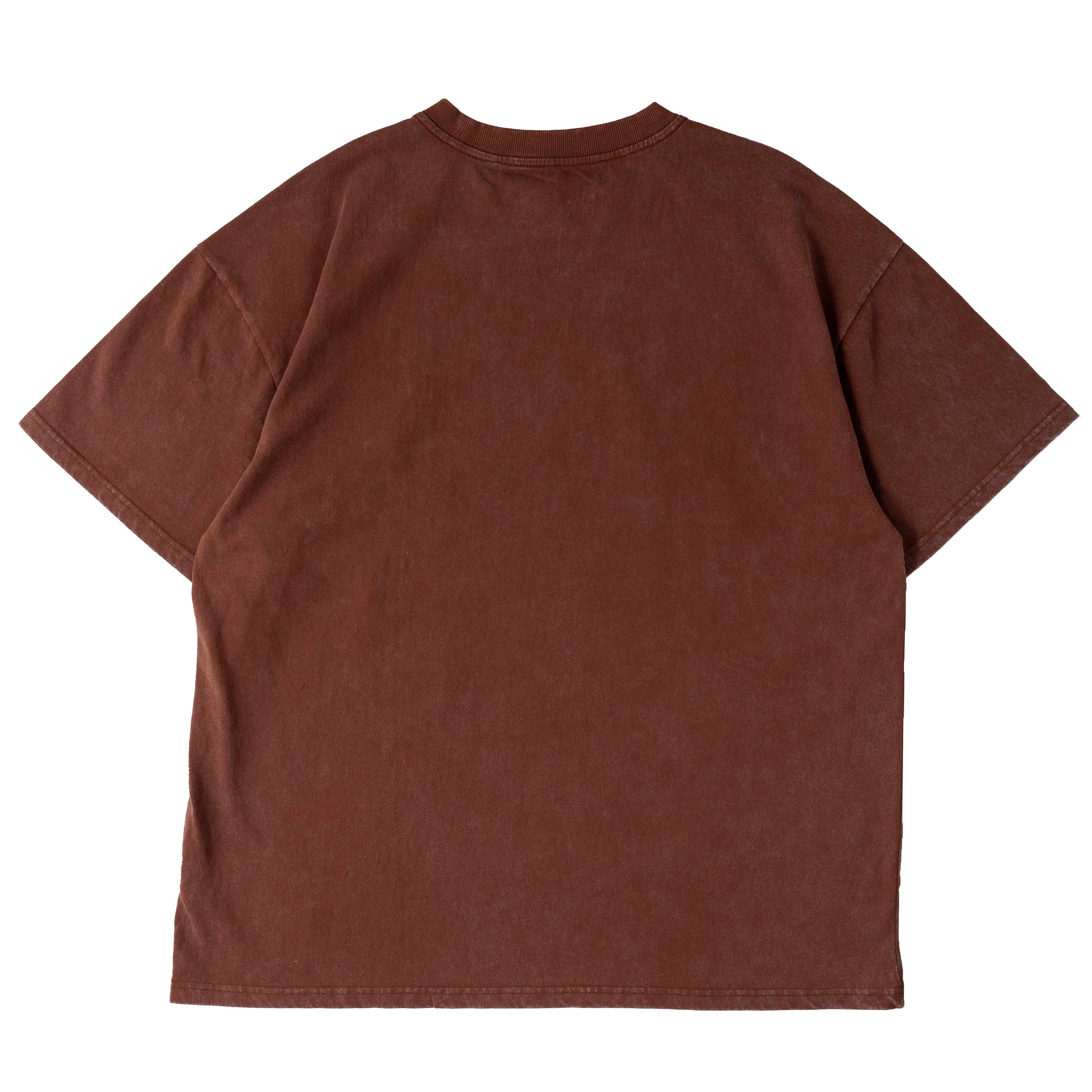 OVERSIZED DEMONS TOUR T-SHIRT - BROWN / RED