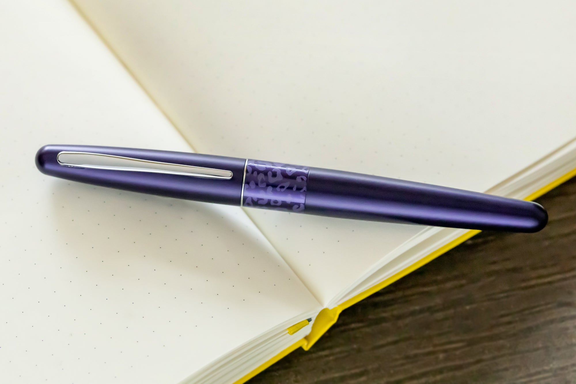 Pilot Metropolitan Fountain Pen - Violet Leopard