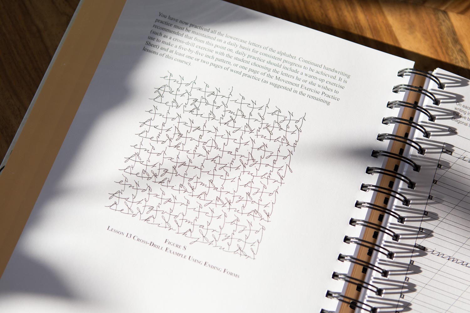 The Art of Cursive Penmanship Book