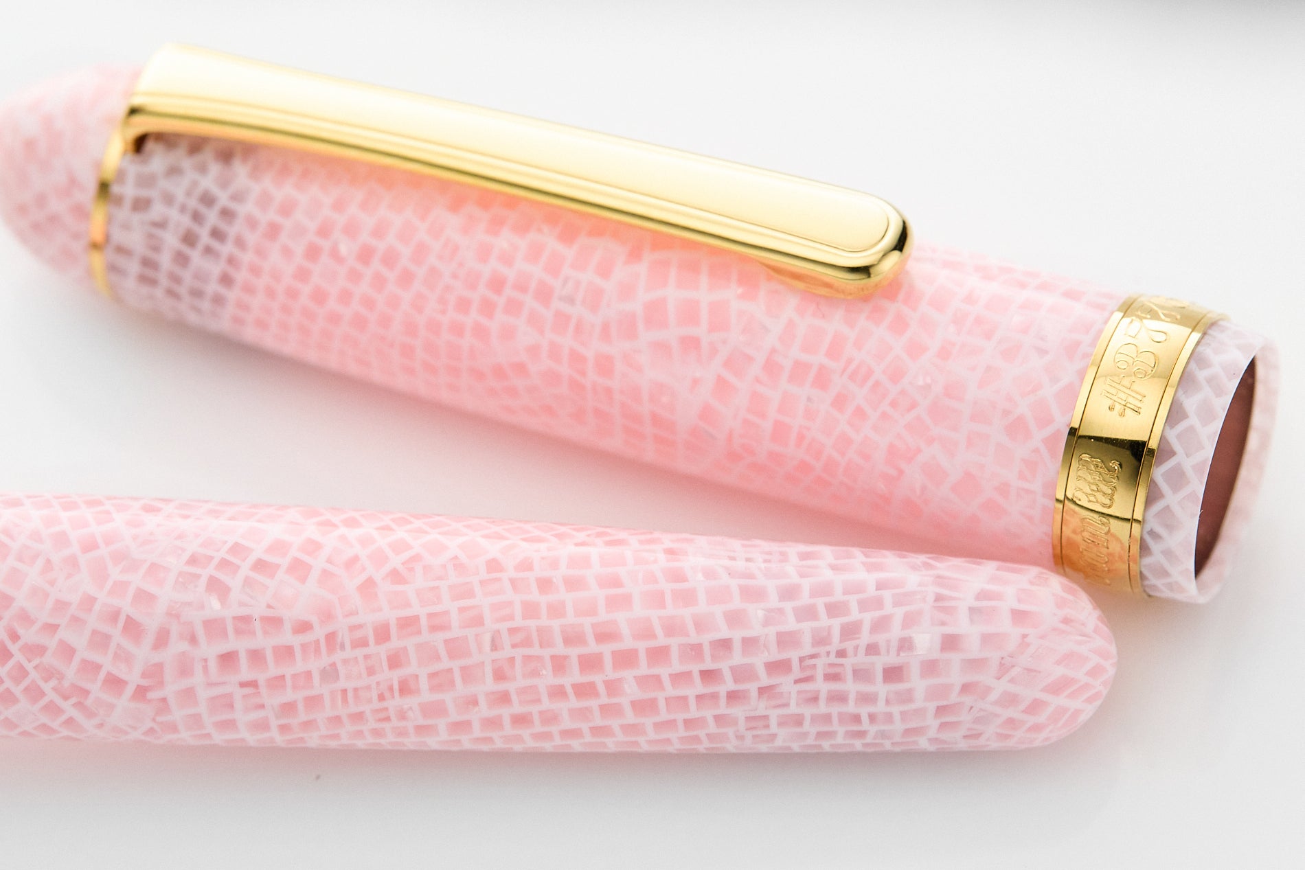 Platinum #3776 Celluloid Fountain Pen - Cherry Blossom