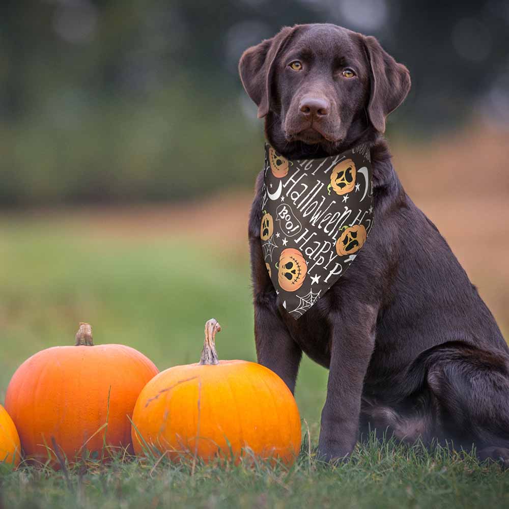 Yescom Halloween Dog Bandanas Washable Dog Handkerchief 10 Pack 32x21