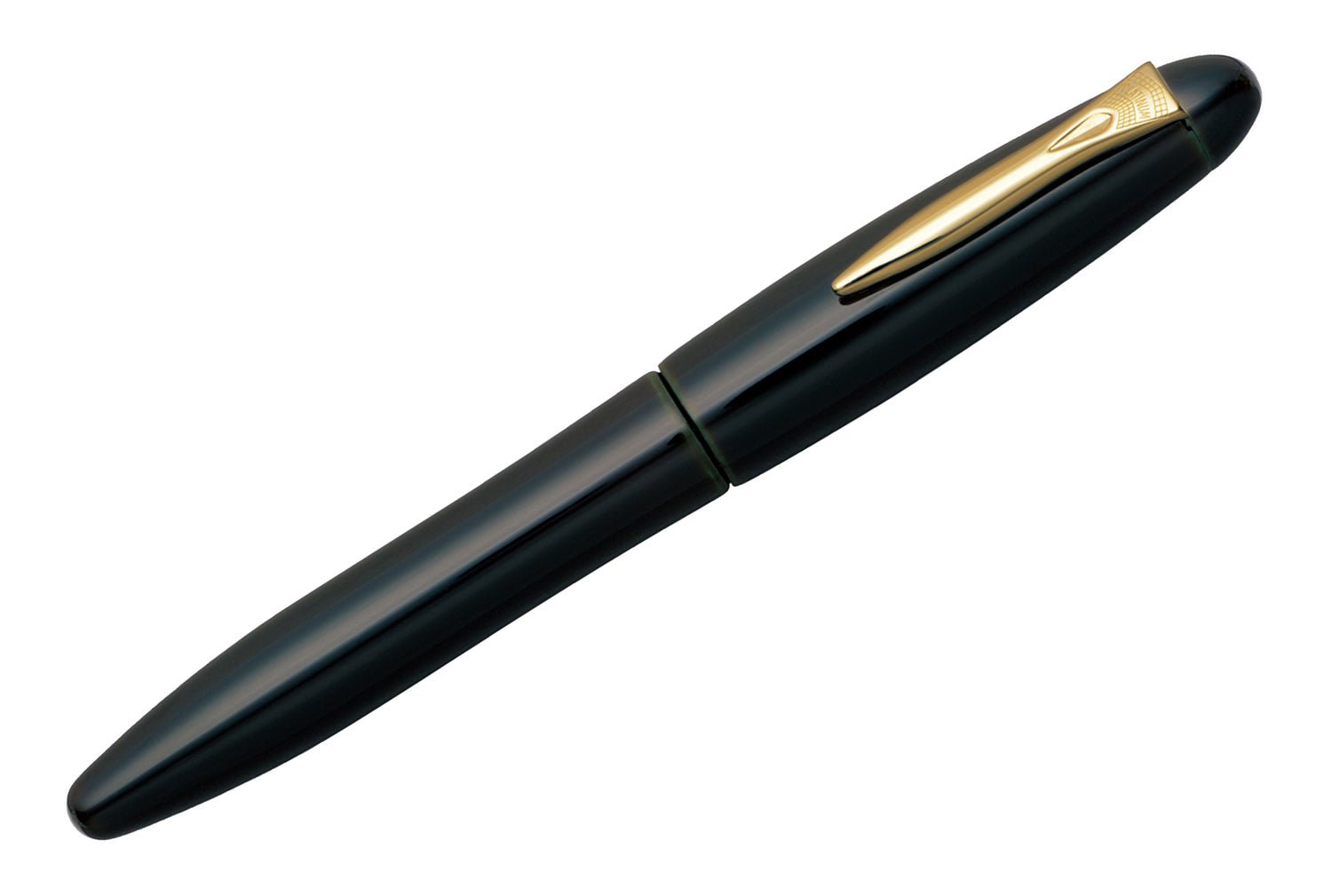 Platinum Izumo Fountain Pen - Soratame