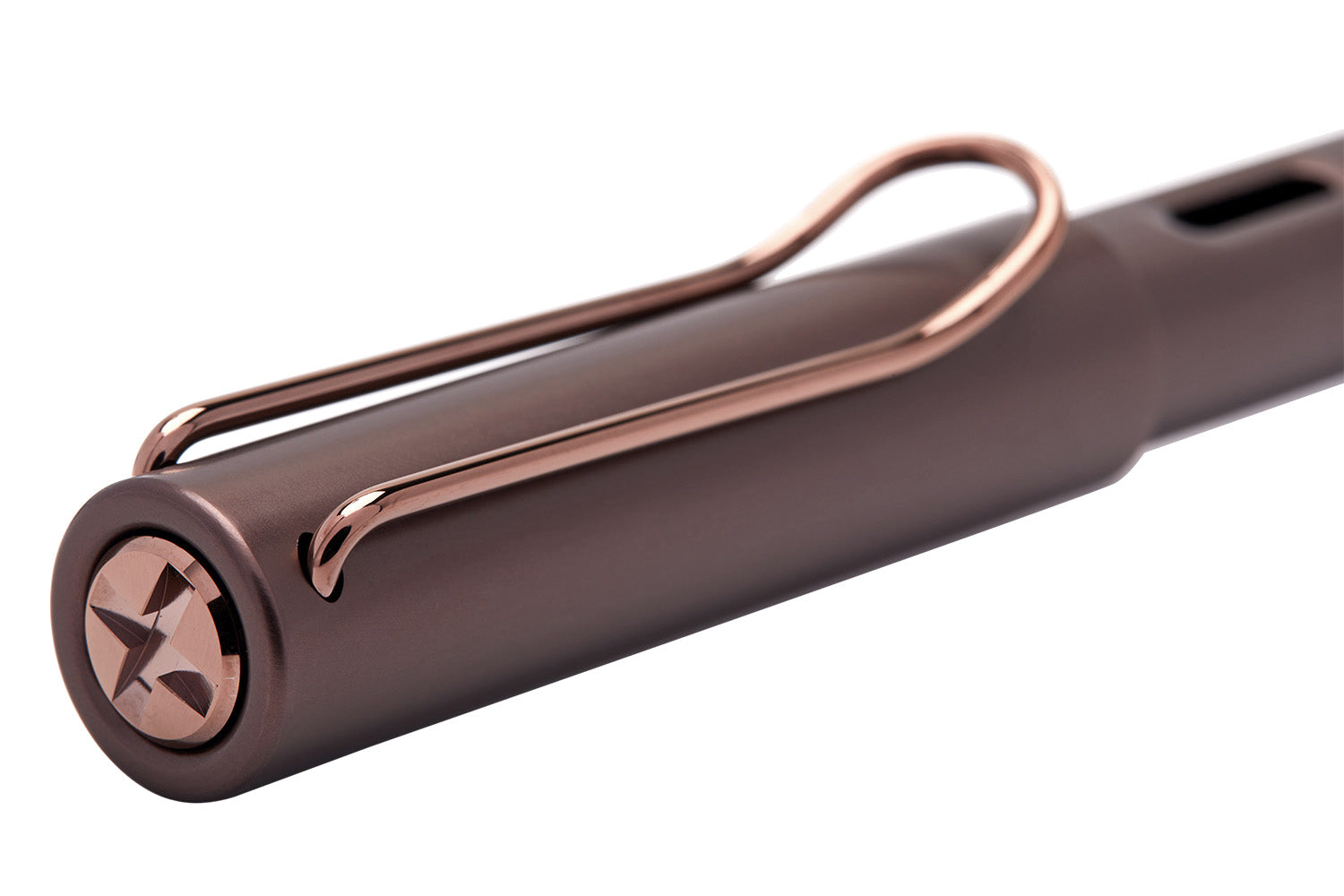 LAMY Lx Fountain Pen - marron