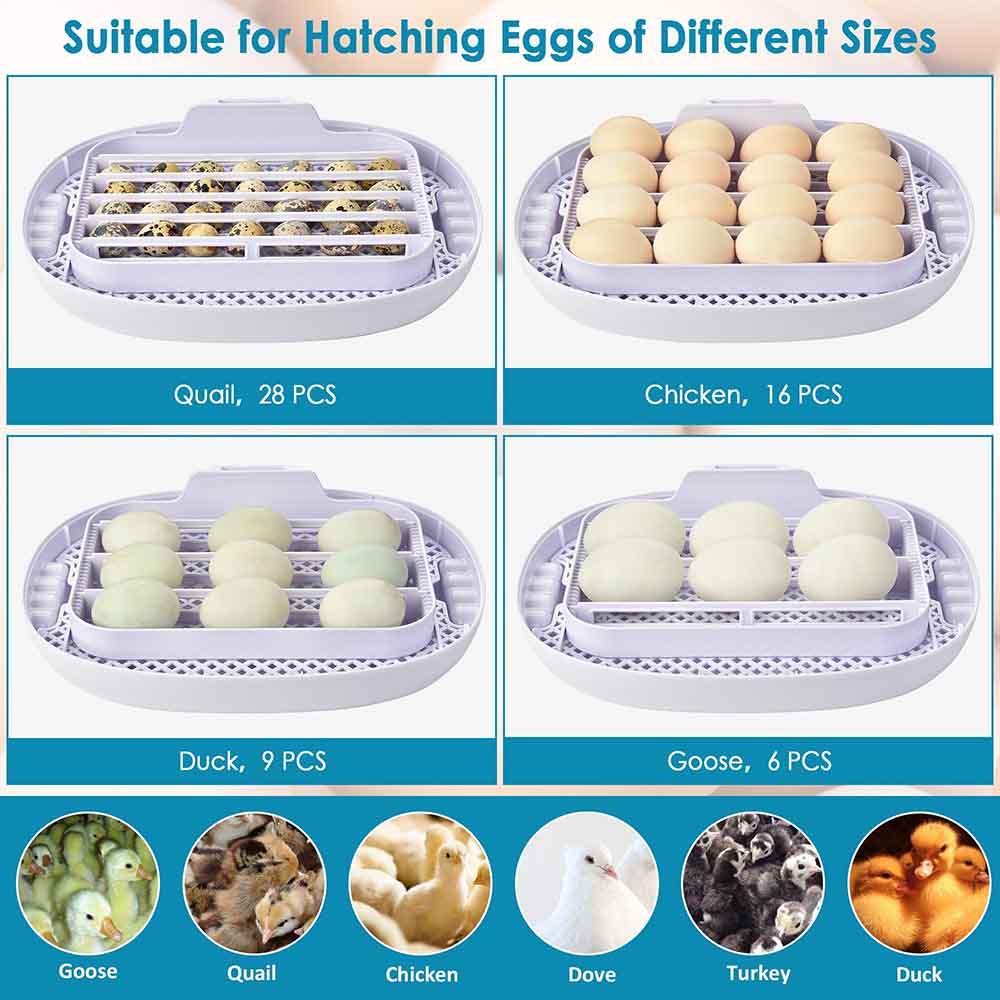 Yescom 16 Egg Incubator Auto Turner Temperature Humidity Control