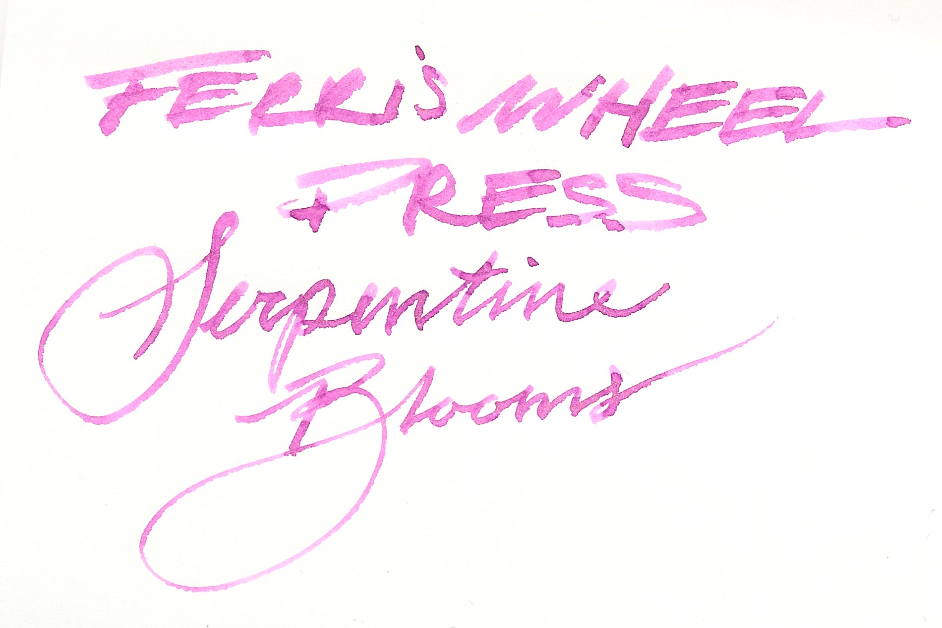 Ferris Wheel Press Serpentine Blooms - Ink Sample