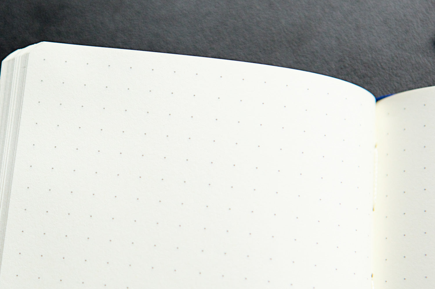 Leuchtturm1917 Medium A5 Notebook - Port Red, Dot Grid