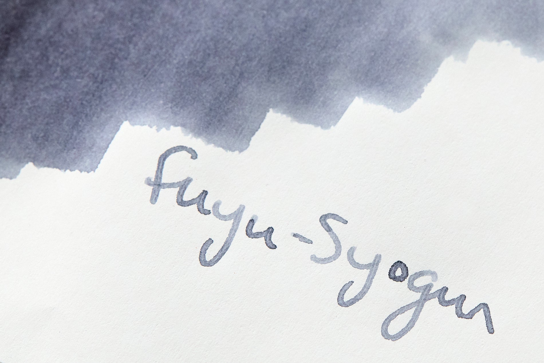 Pilot Iroshizuku Fuyu-syogun - Ink Sample