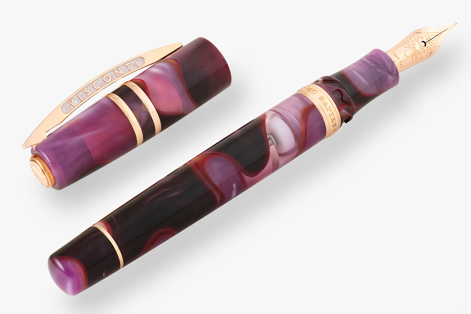 Visconti Homo Sapiens Fountain Pen - Iris Garden (Limited Edition)