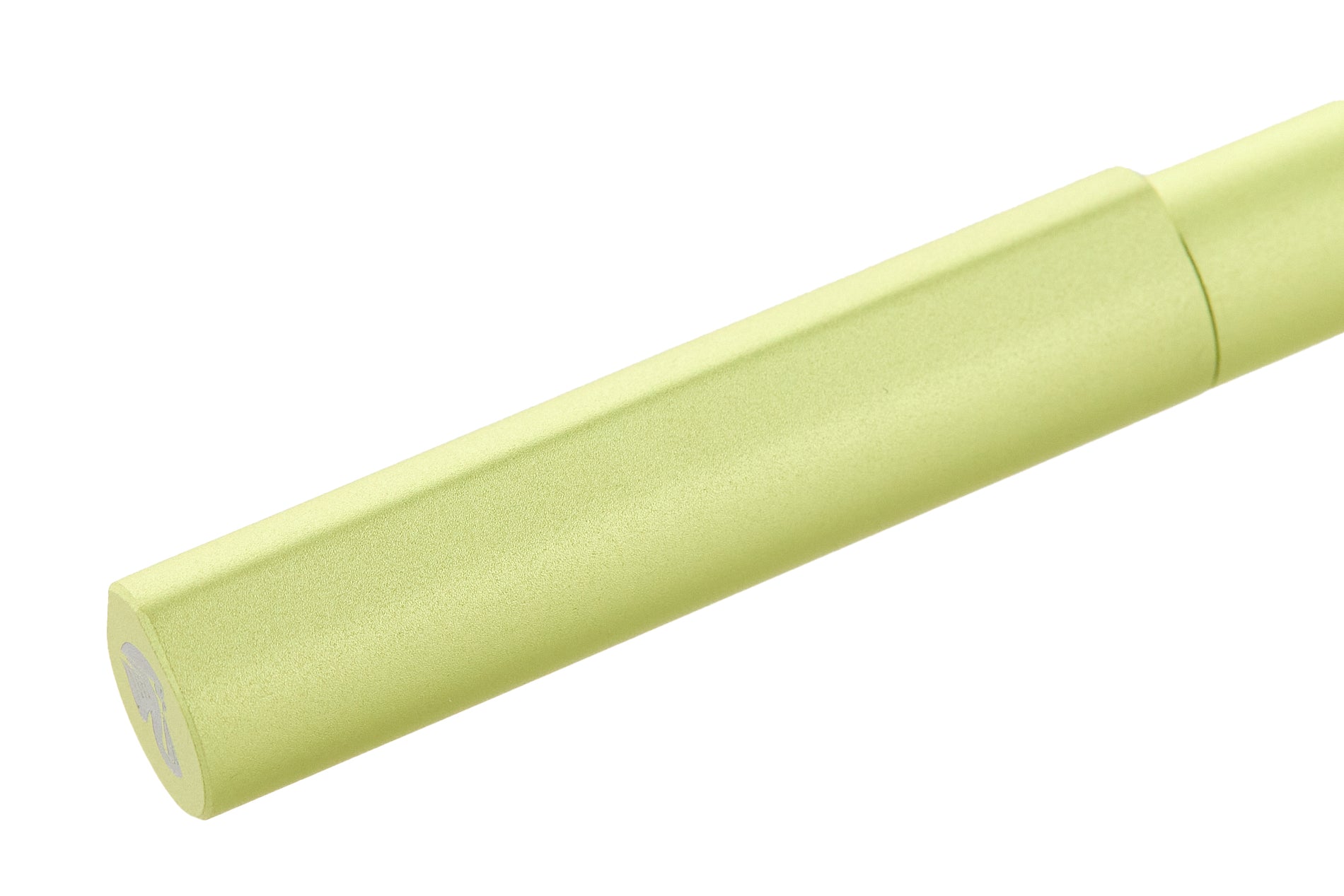 Pelikan Ineo Fountain Pen - Green Oasis