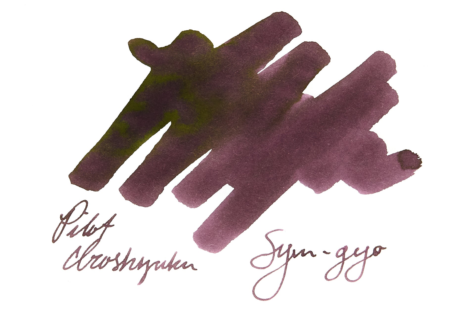 Pilot Iroshizuku Syun-gyo - Ink Sample