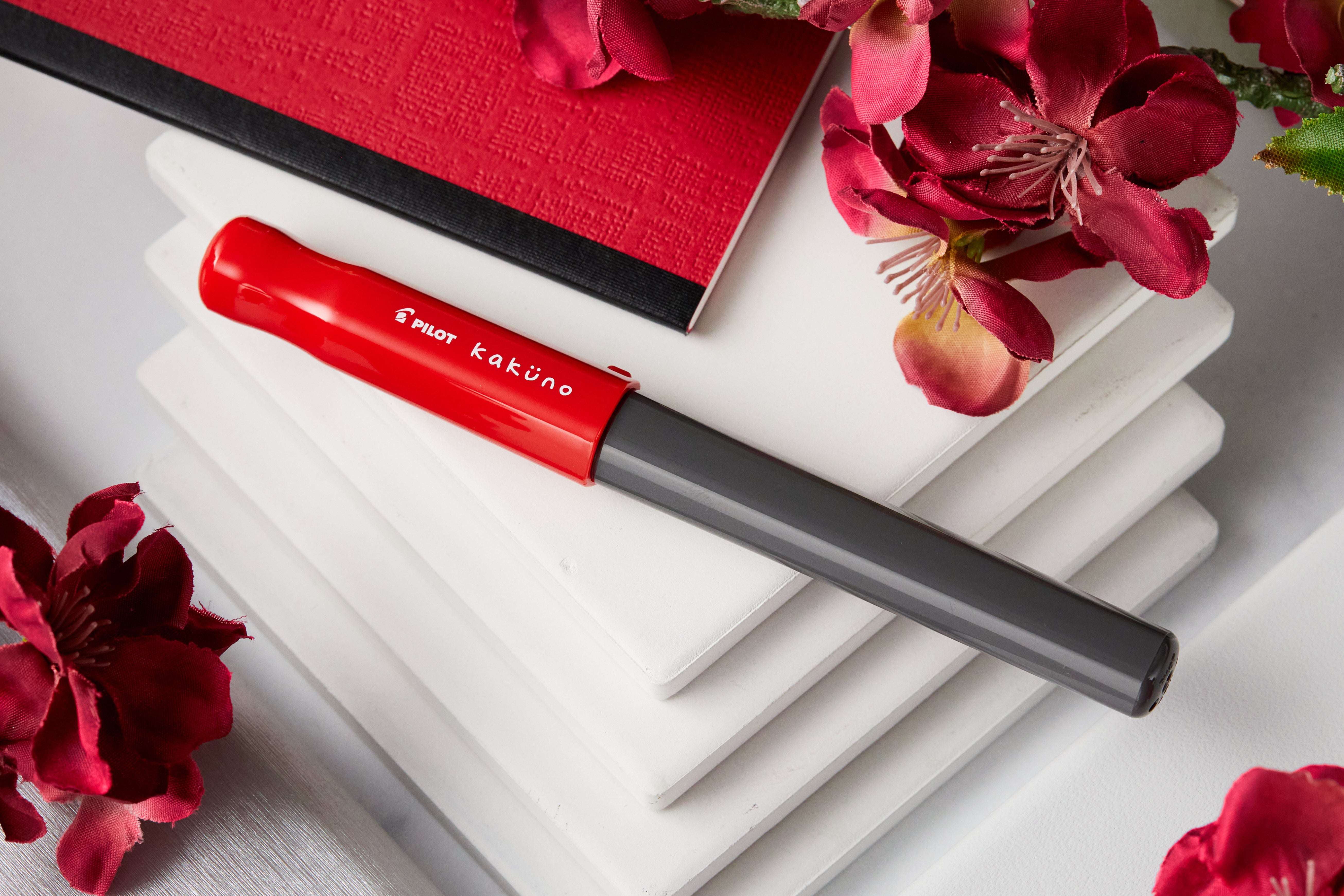 Pilot Kakuno Fountain Pen - Red/Gray