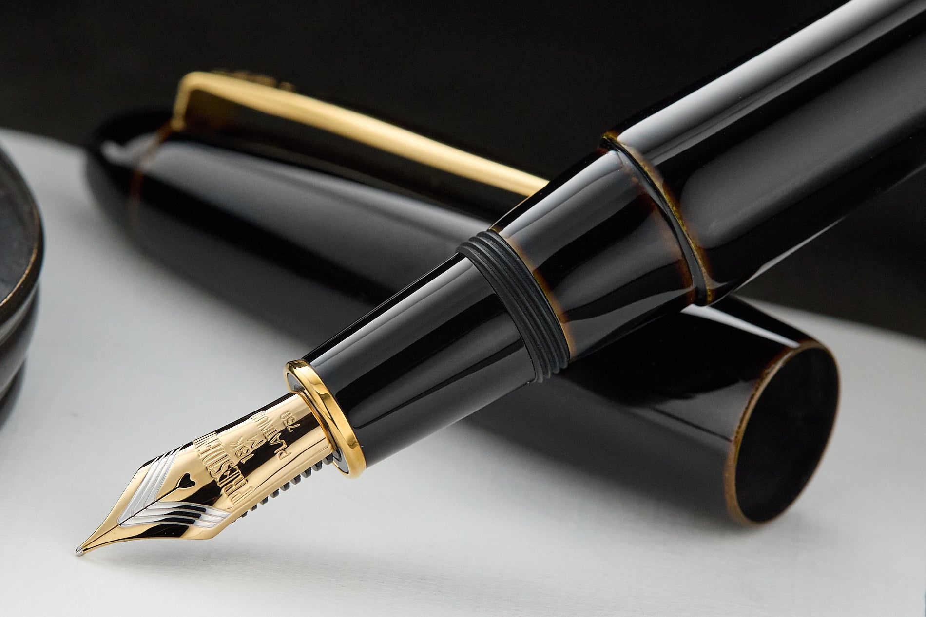 Platinum Izumo Fountain Pen - Biwatame