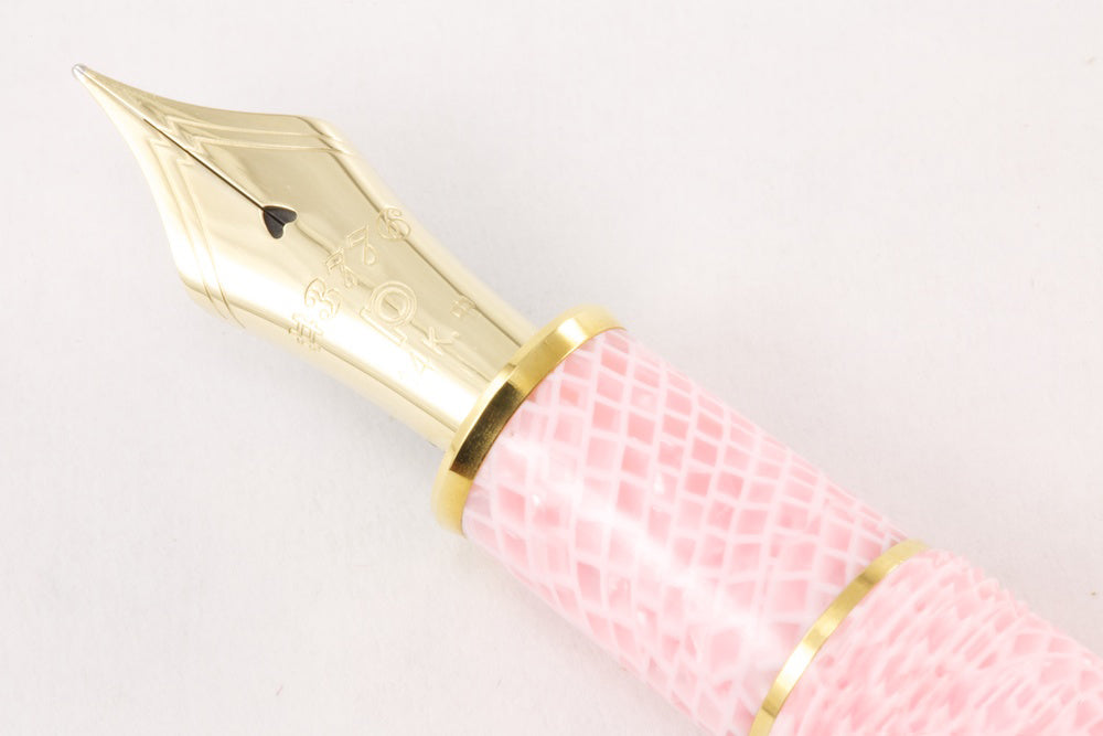 Platinum #3776 Celluloid Fountain Pen - Cherry Blossom