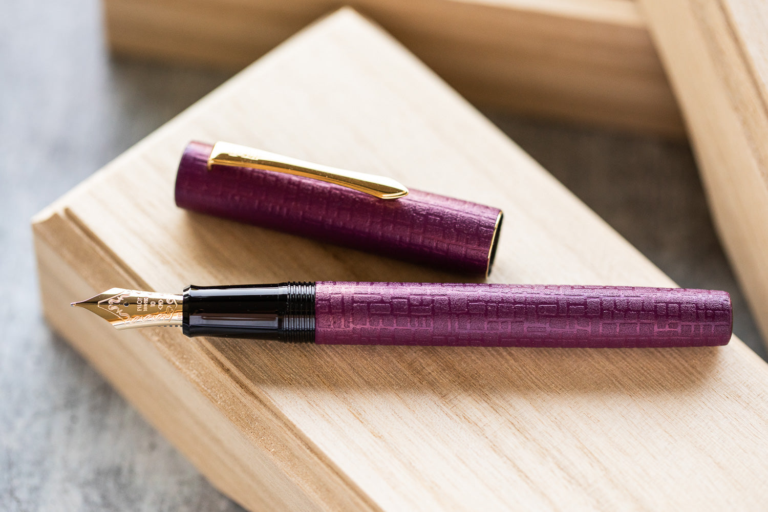 Pilot Ishime Fountain Pen - Burgundy