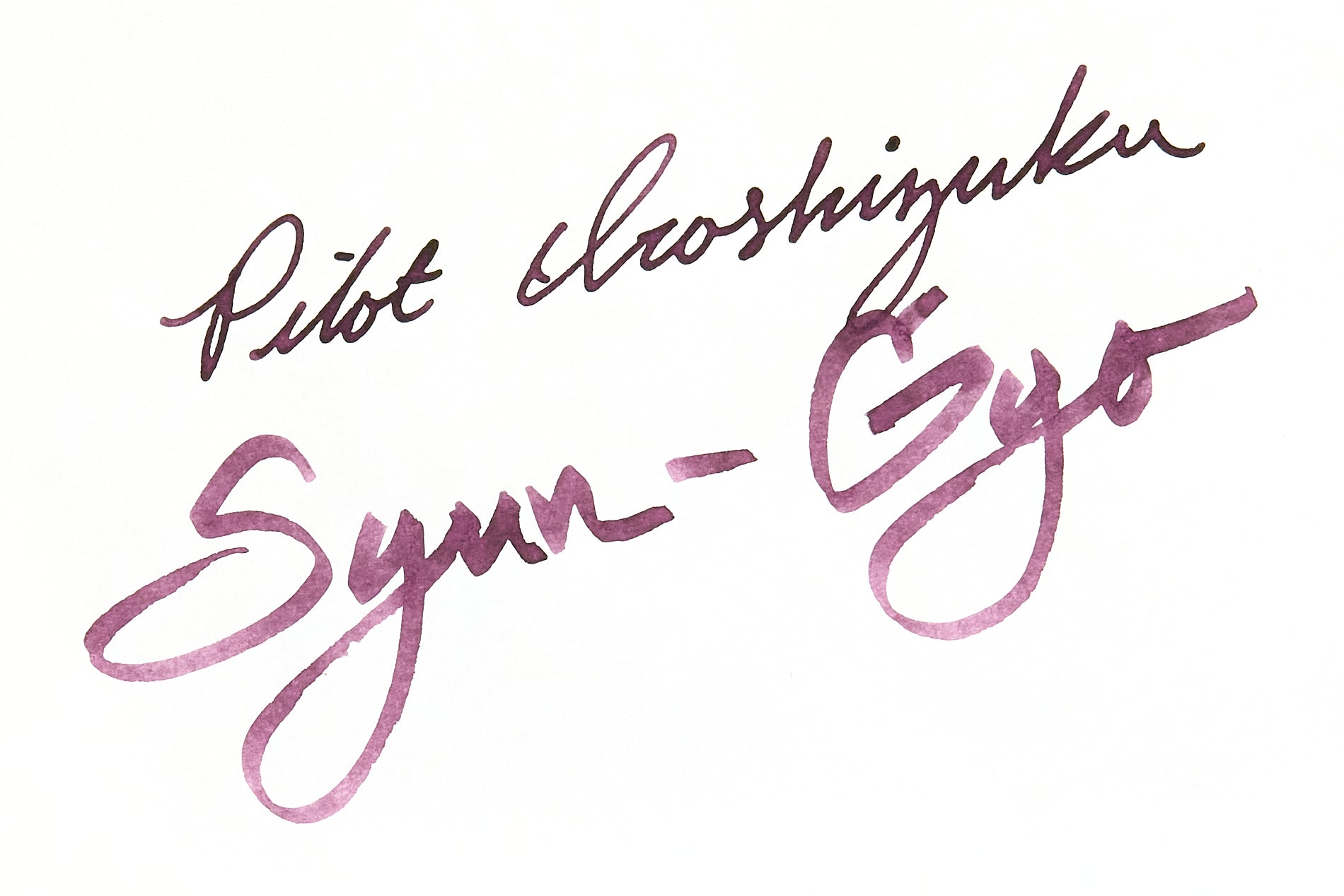 Pilot Iroshizuku Syun-gyo - Ink Sample