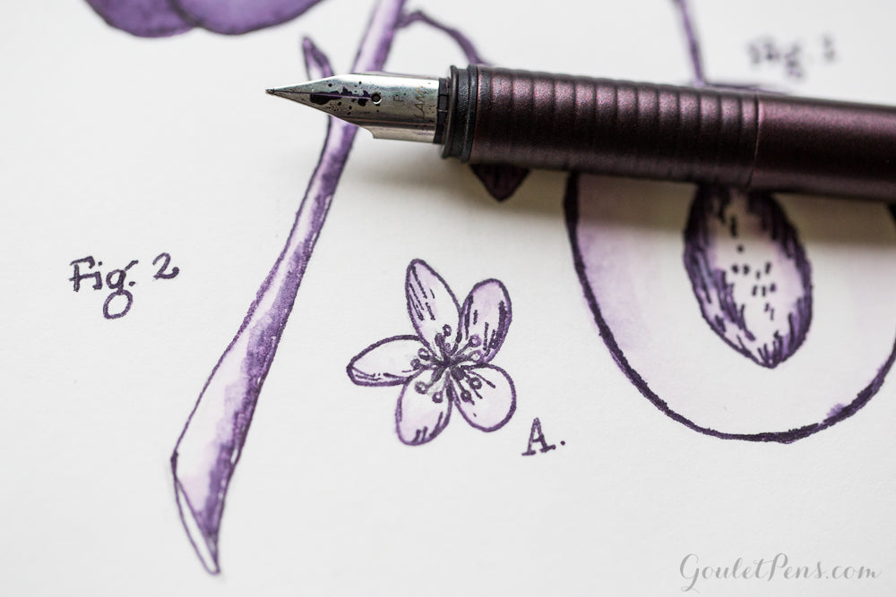 Diamine Damson - 30ml Bottled Ink