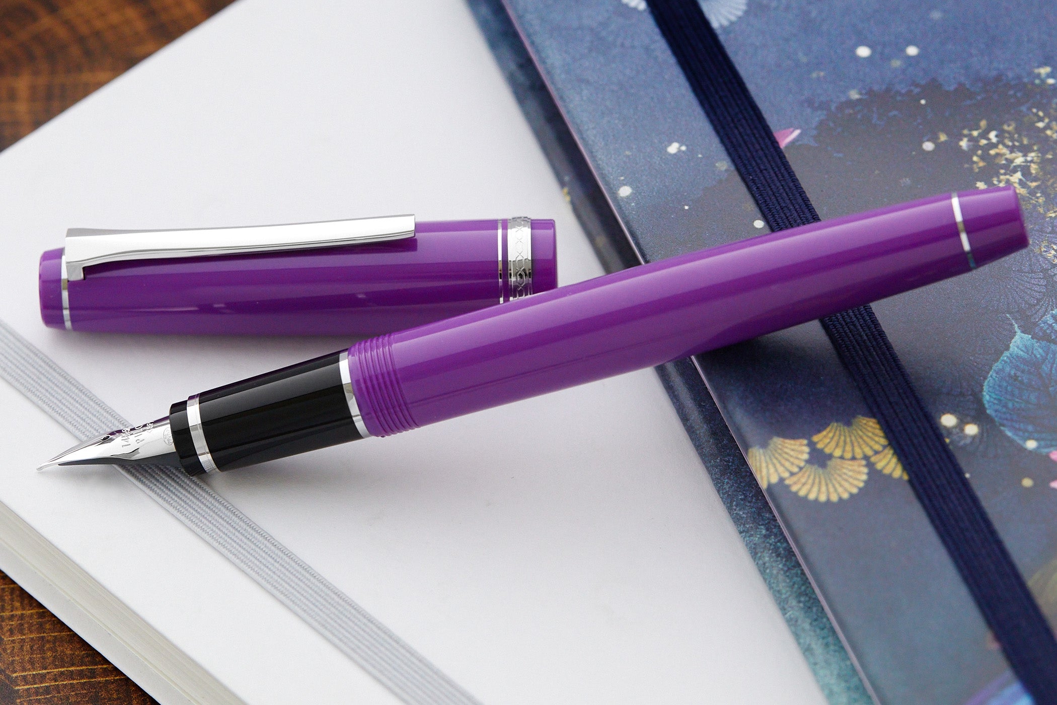 Pilot Falcon Fountain Pen - Purple