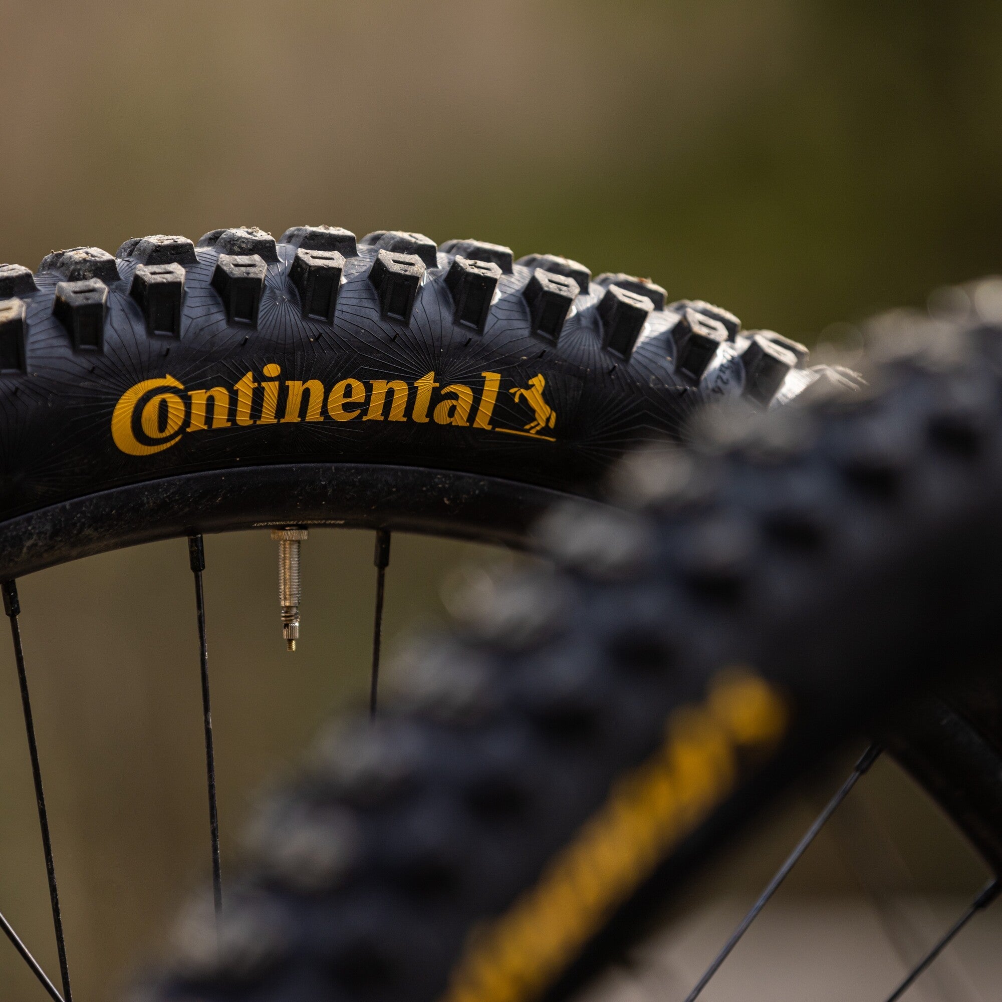 Continental Kryptotal Front - MTB Tyre